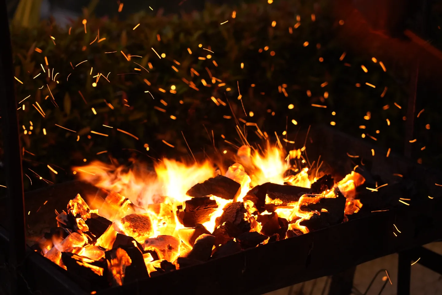 Tabletop BBQ