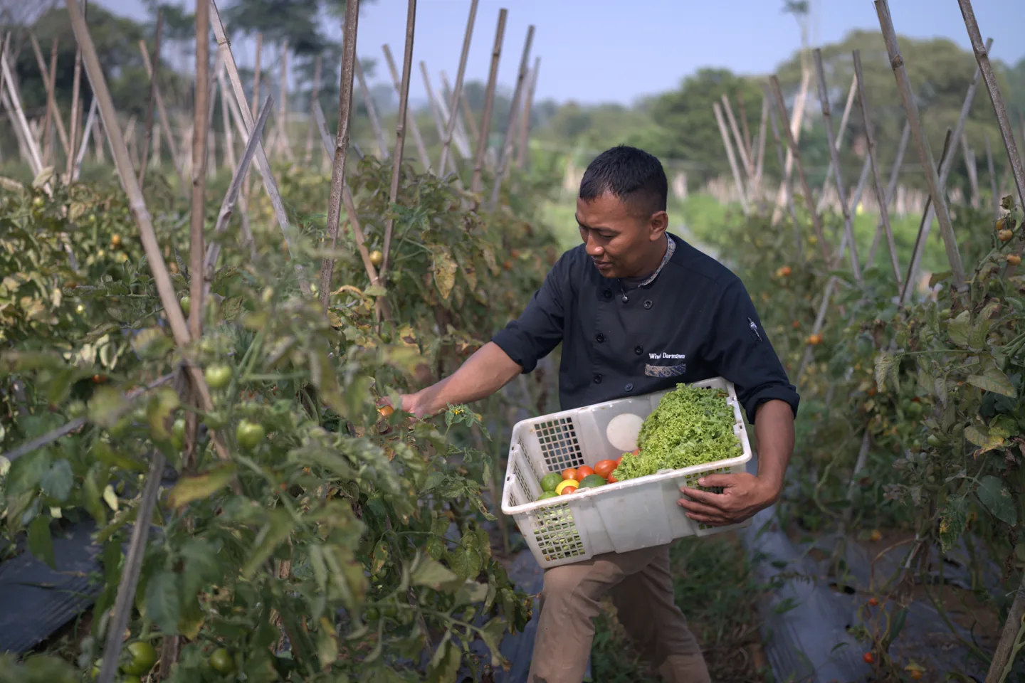 JHL Farm Picking