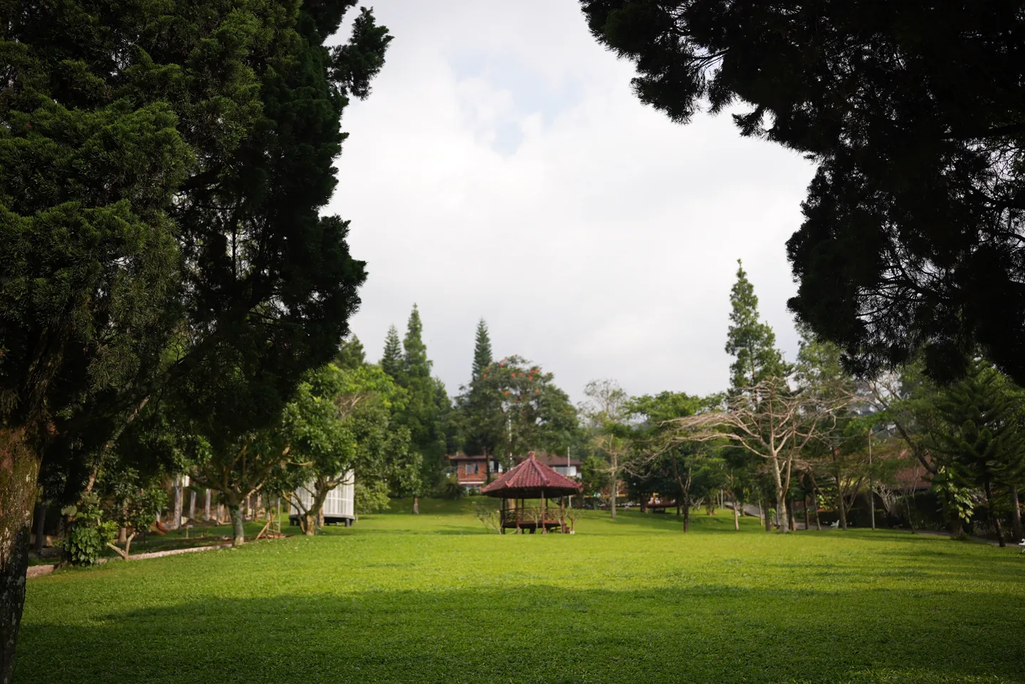 Lawn & Games