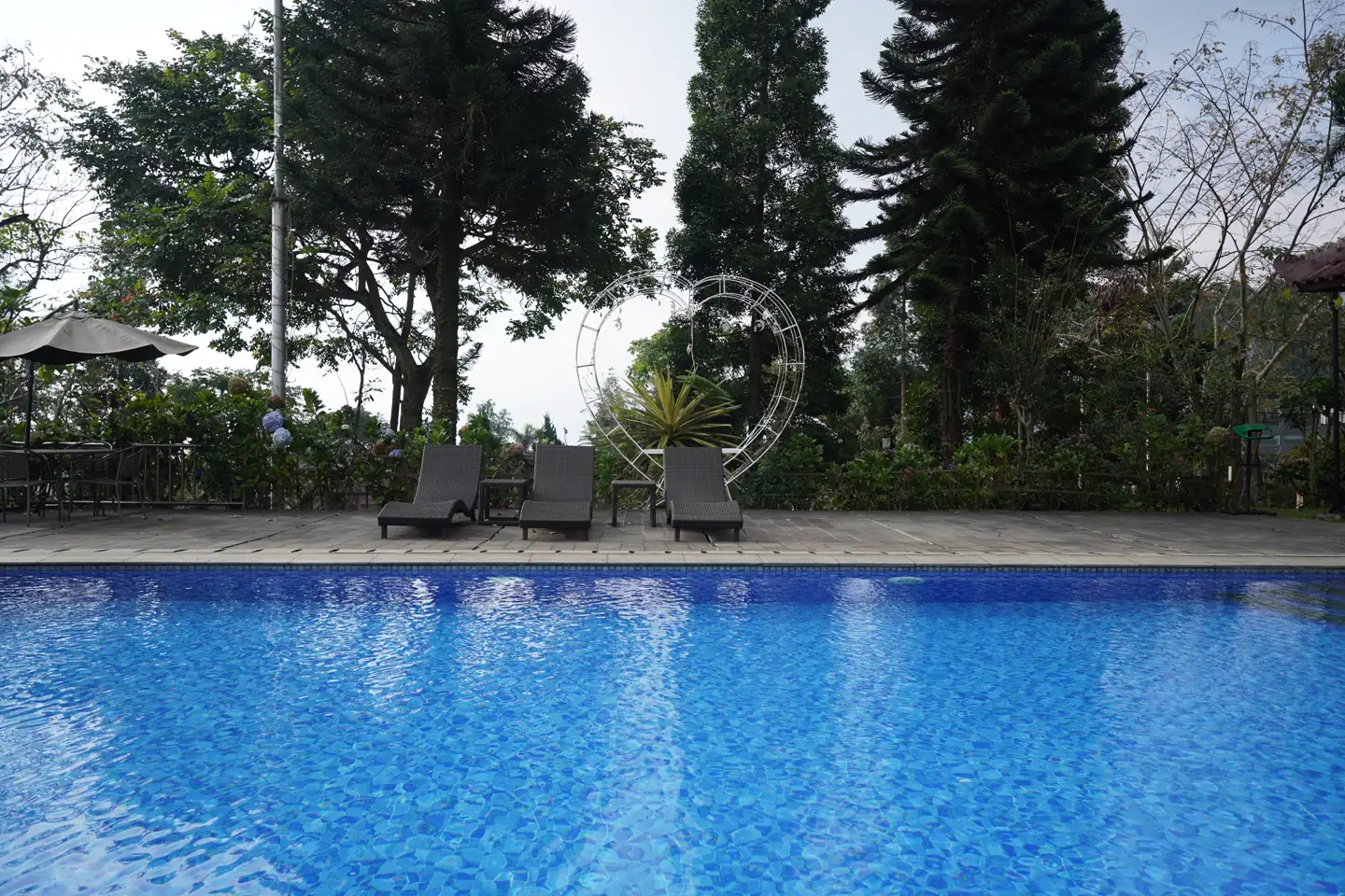 Garden Pool · Top View 1