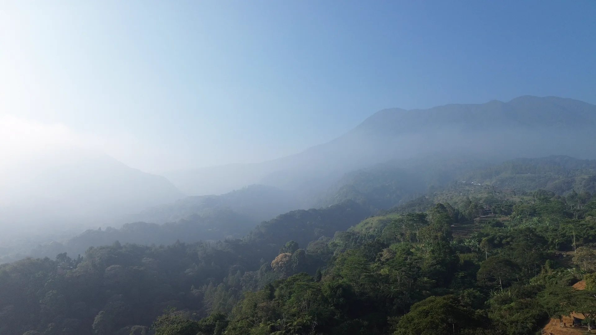 Clouds drifting through the forested valley