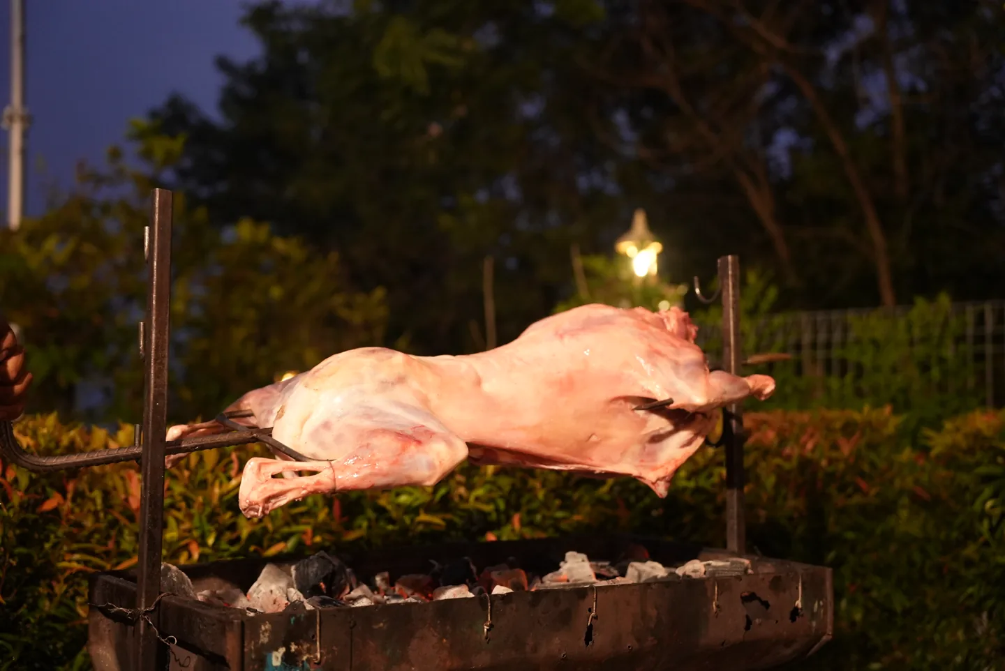 Grilled Whole Lamb